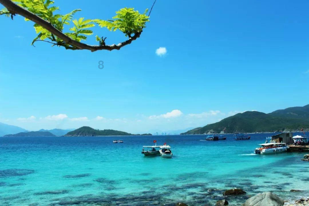 过年拖地大扫除！一机搞定：斯帝沃洗地机拖地又亮又干净