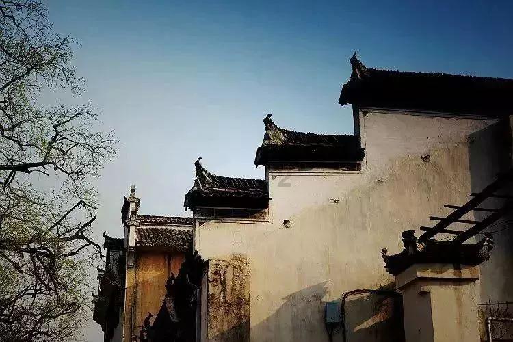 Alector Inc盘中异动 早盘大幅拉升5.44%